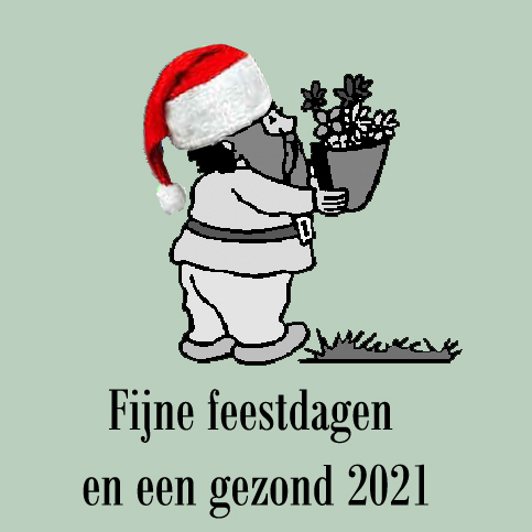 kerstmis bloemenkabouter 2020